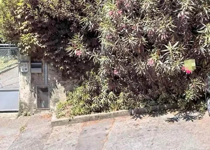 Via Moncolano Mare Barcola Apartman Trieszt